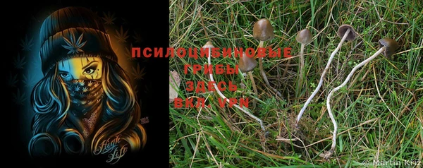 молекула духа Абинск