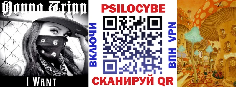 Псилоцибиновые грибы мухоморы Южа